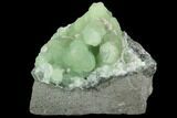 Botryoidal Prehnite Crystal Cluster - Connecticut #100172-1
